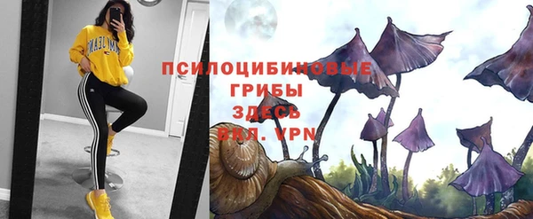 каннабис Богородицк